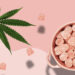What Are CBD Gummies? And the Main Reasons for Taking Them