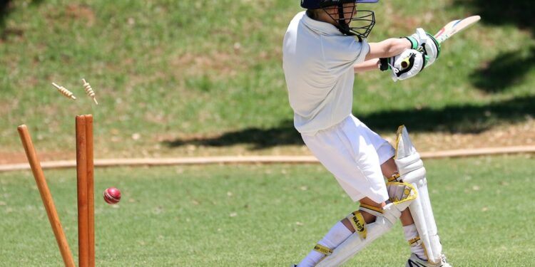 Cricket Betting Terms & Glossary All Beginners Should Know