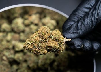 What Benefits Do Delta 9 THC Products Offer Post-Workout?