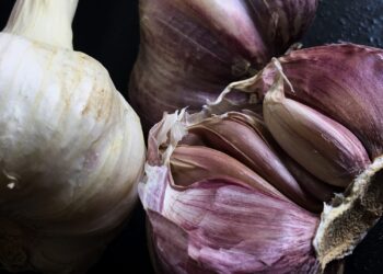 What Is the Difference Between Regular Garlic and Purple Garlic?