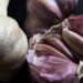 What Is the Difference Between Regular Garlic and Purple Garlic?