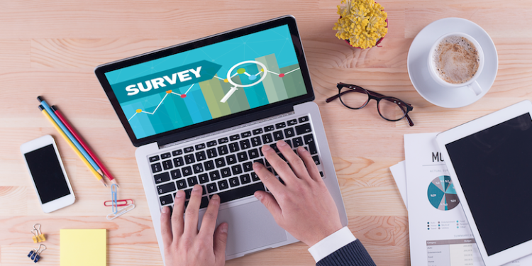 6 Essential Steps in Survey Data Processing