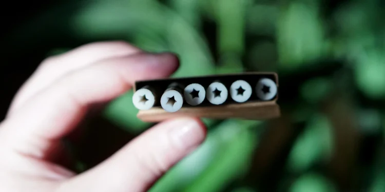 What Are Pre-Roll Tubes For? – Which Type is Right For You?